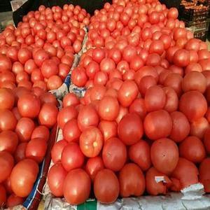 市年底报价西红柿价格品质销售_食品饮料_水果蔬菜_竹笋干